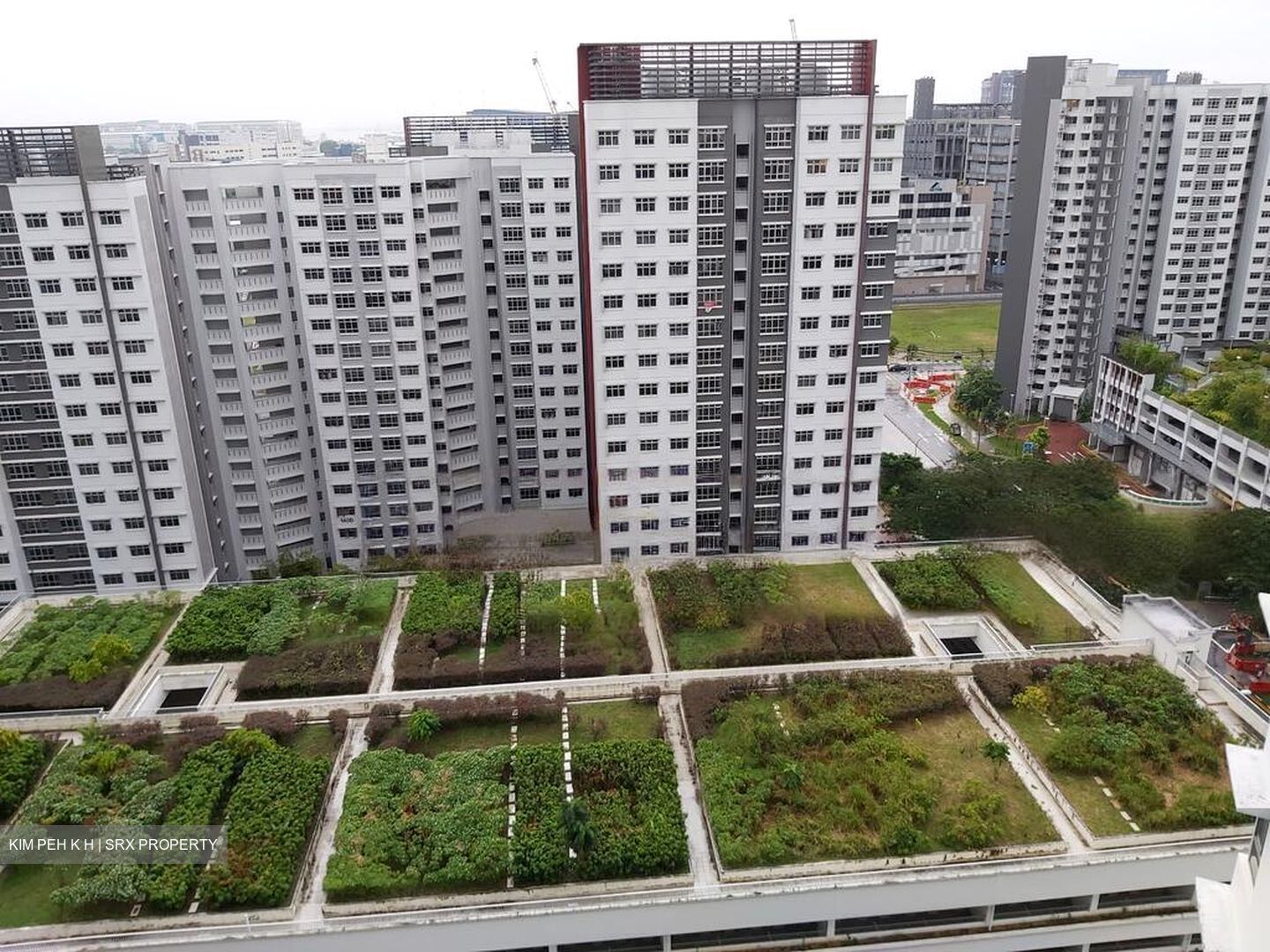 Blk 138D Lake Vista @ Yuan Ching (Jurong West), HDB 3 Rooms #444320771